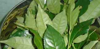 Điều gì xảy ra nếu bạn uống nước chè xanh mỗi ngày?