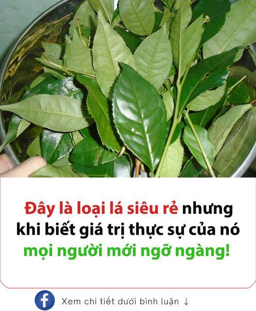 540557645_122265631196233392_8116647590885158927_n