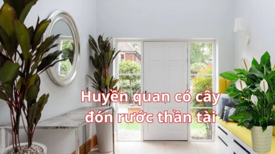 Huyền quan đặt chậu hoa cây cảnh giúp thu hút thần tài