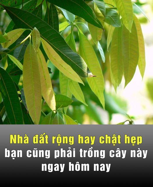 569037951_122147589596878467_4293282056201637714_n