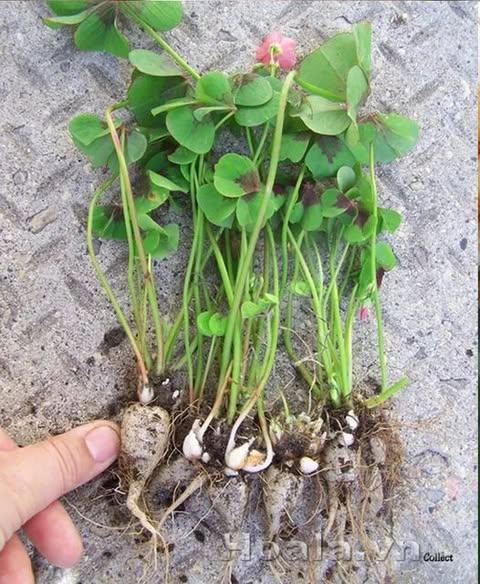 552859161_122271017648233392_5810913652013470296_n