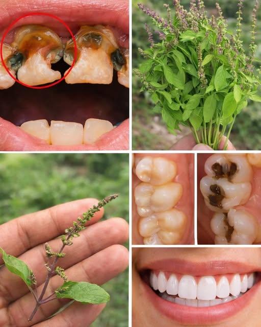 624677980_875340402144947_1124280595406098421_n