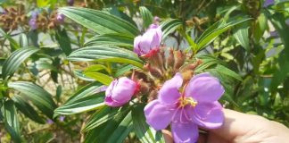 Các cụ dạy: “Nóc tủ lạnh để 3 thứ này, nhà nhiều của cải mấy cũng tiêu tan”, đó là 3 thứ gì?