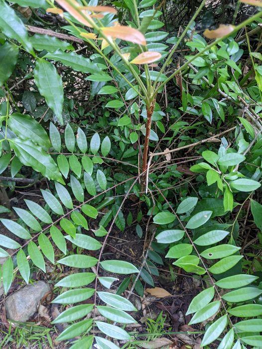 481452475_122220744038233392_3656174711862119501_n