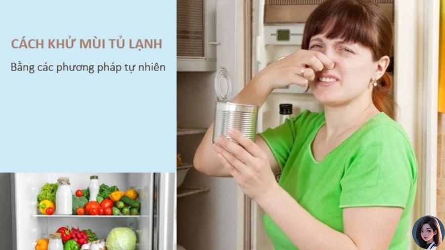 Khử mùi hȏi tủ ʟạnh bằng nguyên ʟiệu có sẵn