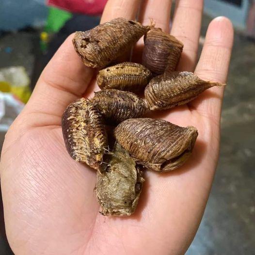 480842081_122222920898233392_796520750028047083_n