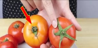 Thấy cà chua có dấu hiệu này cần vứt ngay, đừng dại “tiếc của” mà mang thêm bệnh tật