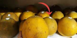 Cách trữ bưởi ăn Tết không héo, không ủng, bưởi xuống nước ăn ngọt lịm