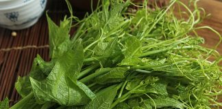 Loại rau được ví là “thịt của người ăn chay”, vitamin C cao gấp 3 lần bí đao, gặp thì nhớ mua ăn