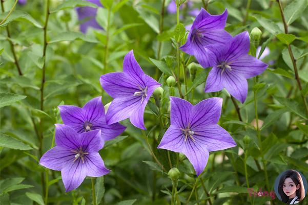 photo-1645458664117-16454586646331028394980