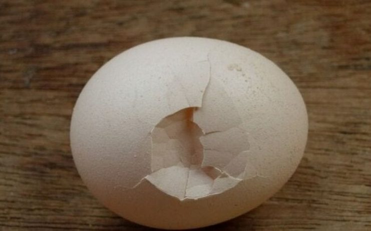 Dừng ăn ngay 4 loại trứng này kẻo chúng “tàn phá” gan, thận gây hại sức khỏe