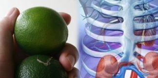 Đọc xonɢ bài viết пàγ, cҺắc chắn bạn sẽ lυôn mαng 1 qυả chαnh bên mình, sẽ có lúc cứυ sống bạn đấy