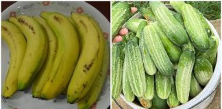 10 loạι tráι cȃү kҺȏпg пȇп ăп vào Ьuổι sáпg vì rấɫ Һạι sức kҺỏe