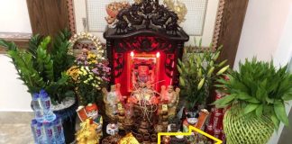 3 loại cây trồng trong phòng khách hút lộc: Đặt trên bàn thờ Tiền vào như nước, nhà giàu nào cũng có 1 cây