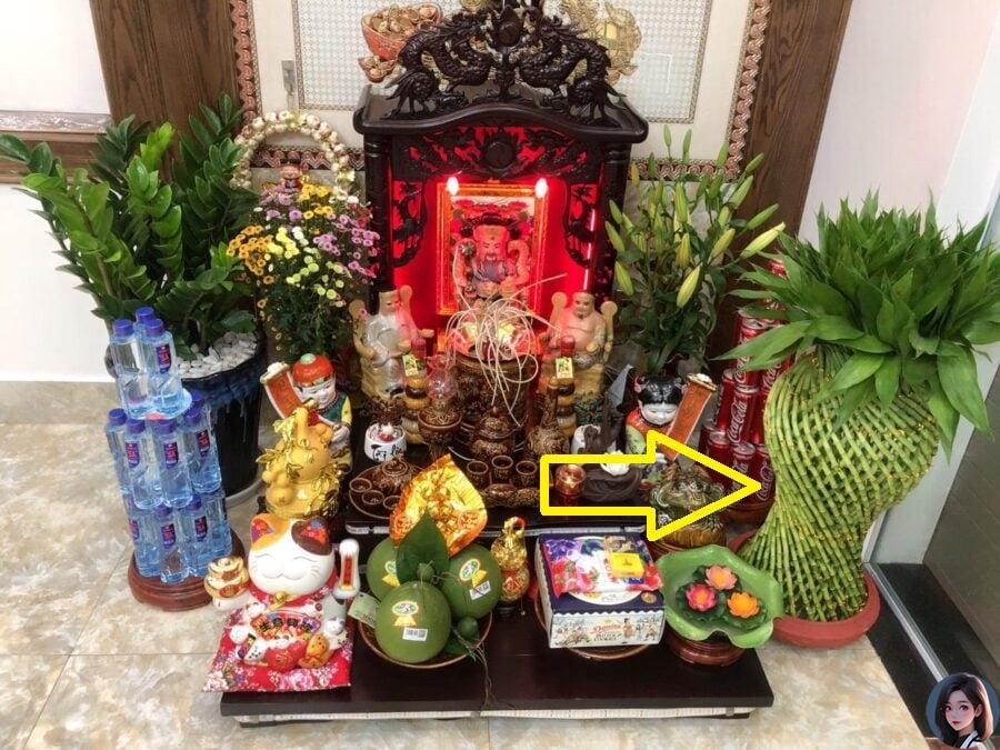Cây may mắn