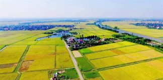 Kể từ năm 2025, đất nông nghiệp bị thu hồi được bồi thường bằng nhà ở? Người dân nên nắm rõ để được lợi nhất