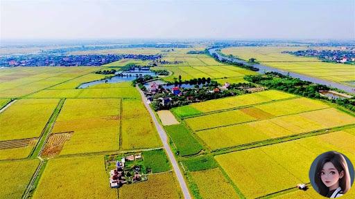 Từ năm 2025, người có đất nông nghiệp bị thu hồi có khả năng được bồi thường bằng đất ở, nhà ở