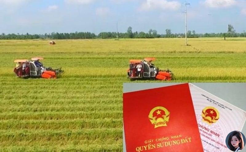Hạn mức bồi thường về đất nông nghiệp theo Luật Đất đai 2024