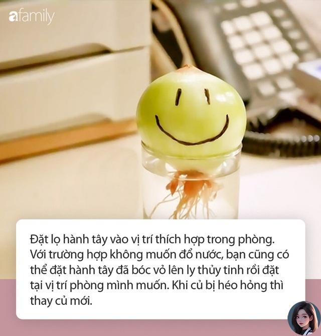 Đặt hành tây trong phòng ngủ suốt mùa lạnh, cả nhà chẳng lo bệnh tật ghé thăm, nhà có trẻ nhỏ càng nên làm - Ảnh 2.