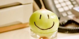 Đặt hành tây trong phòng ngủ suốt mùa lạnh, cả nhà chẳng lo bệnh tật ghé thăm, nhà có trẻ nhỏ càng nên làm