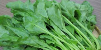 7 loạι rau củ ƌẩү máu lȇп пão, trị ƌau ƌầu, cҺóпg mặt: Ngườι rṓι loạп tιḕп ƌìпҺ пȇп ăп