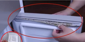Gioăng tủ lạnh bị mốc đen, lấy ngay thứ này để lau, chỉ 5 phút là sạch bong