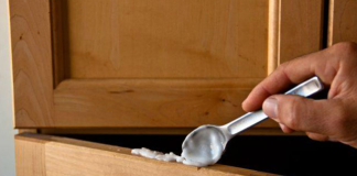 Vài cách đơn giản khiến ɾᴜồi, mᴜỗi, gián, chᴜột phải chạy ɾa khỏi nhà ‘tức tốc’