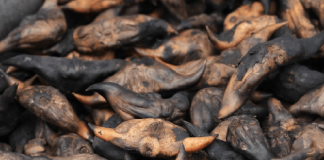 Ăn 1 miếng đã không tốt mà nhiều người cứ vô tư ăn