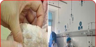 2 bộ phận của lợn chứa rất nhiều tế bào UT: Đừng ăn kẻo ngấm bệnh lúc nào không biết