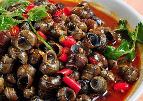 548215937_122269821440233392_5678060659095500559_n