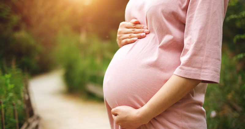 Cây chó đẻ răng cưa: Thảo dược quý mọc dại mang đến nhiều công dụng thần kỳ 3