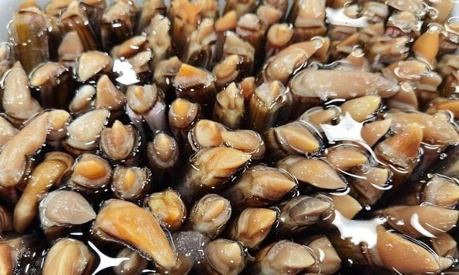 Thịt ốc móng tay không chỉ thơm ngon mà còn là nguồn dinh dưỡng phong phú. 