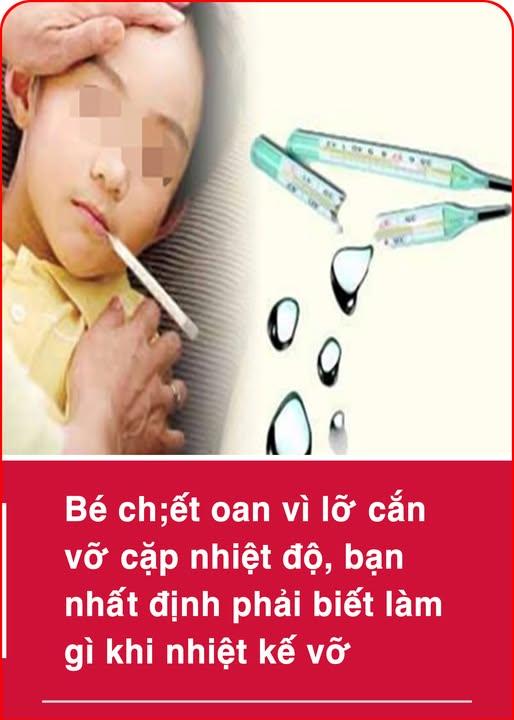 520316963_1169019325263805_4370427489944717879_n