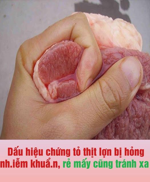 524852065_122259094586233392_8183425805549292090_n (1)