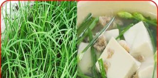 Loại rau này bổ hơn thịt, tốt hơn thuốc, cắm vào đất là mọc như cỏ dại nhưng ít người ăn