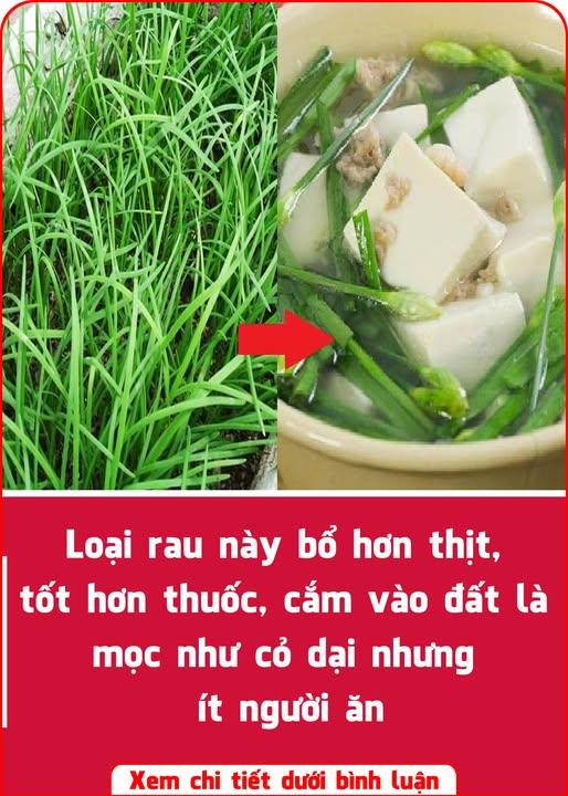 525910245_1161007742734826_5107537650436945799_n