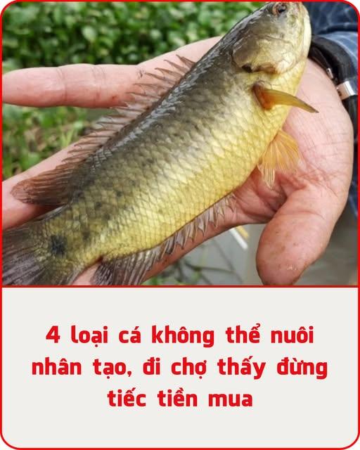 554952594_814300624518084_2268642264688363503_n (1)