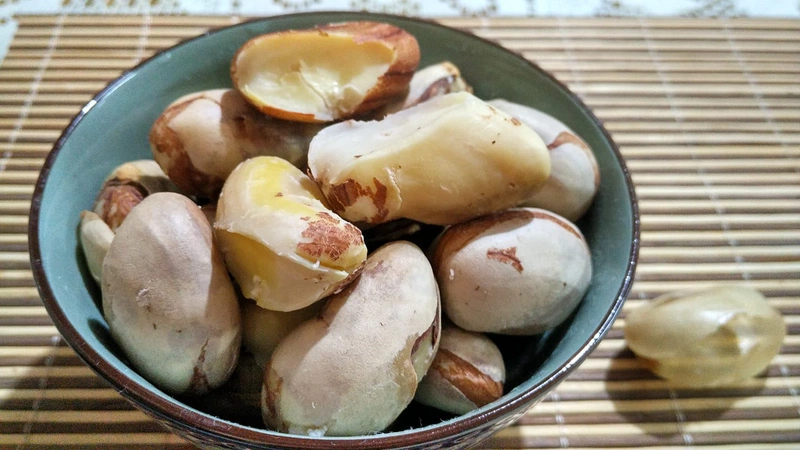 ăn hạt mít có tác dụng gì 1
