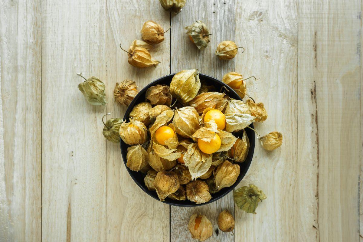 Việt Nam có loại quả dại, ít người ăn, sang Nhật có giá 2,9 triệu đồng/kg: Tiềm năng phòng ung thư- Ảnh 4.