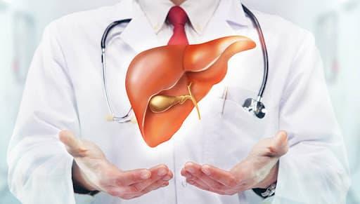 giải độc gan, gan nhiễm độc, gan nhiễm mỡ