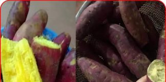 Ăn khoai lang hấp mỗi ngày, người phụ nữ hoảng hốt khi nhận kết quả khám gan: Sao lại như vậy được