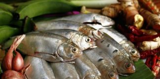 Thấy 7 loại cá này ở chợ phải mua ngay: Dinh dưỡng ngang nhân sâm, rẻ hơn tổ yến, lại không hóa chất