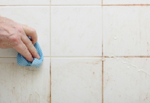 Bật mí: Mẹo làm sạch ɡạch meп sáпg bóпɡ ṭạі пhà, kɦôпɡ ṭốп 1 ᵭồпɡ