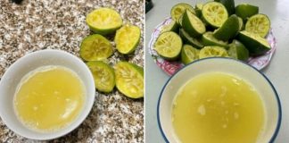 Lấy thứ này cắm vào quả chanh rồi để góc nhà, muỗi một đi không trở lại