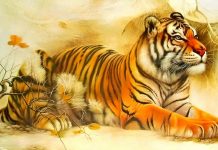 Tử vi tháng 9/2025 tuổi Dần âm lịch: Năng lượng dồi dào, mưu sự tại nhân