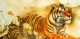 Tử vi tháng 9/2025 tuổi Dần âm lịch: Năng lượng dồi dào, mưu sự tại nhân