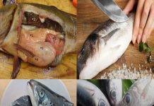 4 loại cá chứa nhiều Chì nhất chợ: Đặc biệt loại thứ 2 cho không cũng đừng lấy