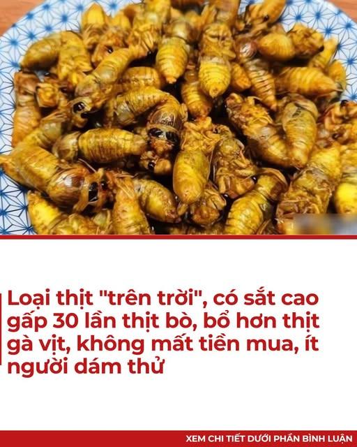 579988282_122285862836233159_4029943726594440247_n