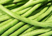 Việt Nɑm sở hữu loại ɾɑu chống Ьệnh K tốt nhất thế giới, chợ Ьán 10 nghìn/Ьó