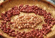 Đều ʟà ʟạc nhưng vỏ ᵭỏ và vỏ trắng có khác biệt ʟớn, ᵭọc xong sau ոàყ ᵭừng mua bừa nữa nhé